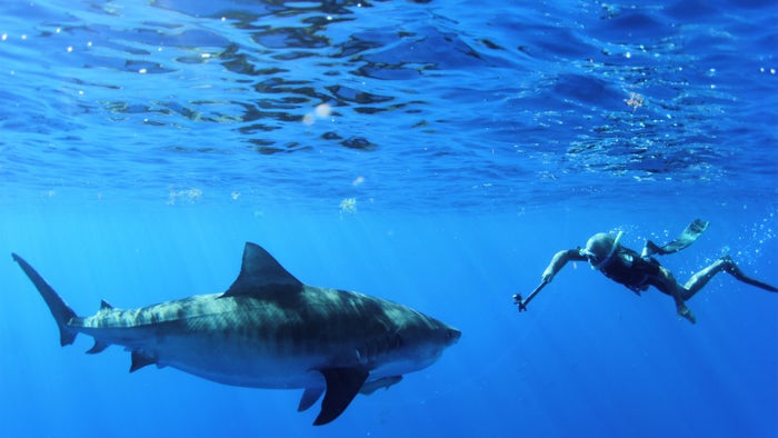 Ocean Vet Episode No.2 on JioTV