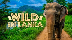 Wild Sri Lanka on Animal Planet Hindi - past program
