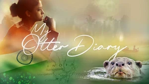 My Otter Diary on Animal Planet HD English - past program