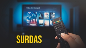 Surdas on DD bharati - past program