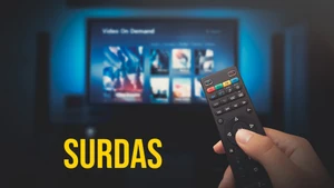 Surdas on DD bharati - past program