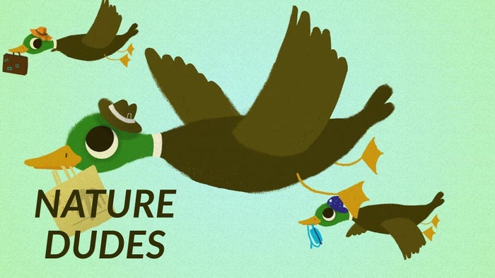 Nature Dudes on JioTV
