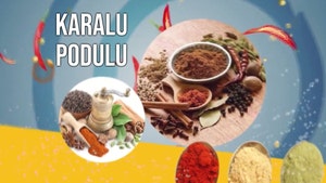 Karalu Podulu on ETV Abhiruchi - past program