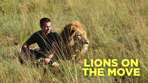 Lions on the Move on Animal Planet Hindi - past program