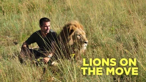 Lions on the Move on Animal Planet Hindi - past program