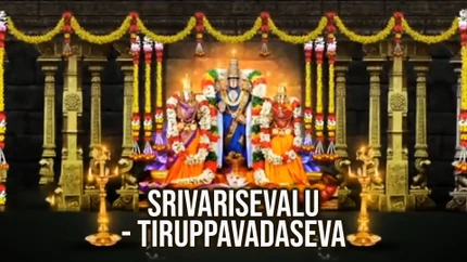 Srivarisevalu - Tiruppavadaseva on SVBC4