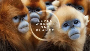 Seven Worlds, One Planet on Sony BBC Earth SD - past program