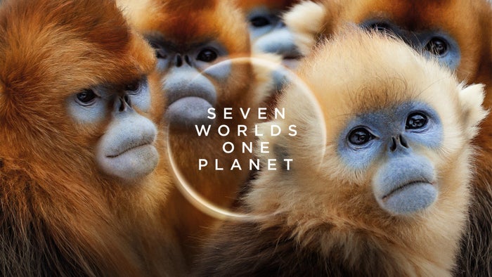 Seven Worlds, One Planet Episode No.2 on JioTV