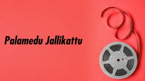 Palamedu Jallikattu on Thanthi TV - past program