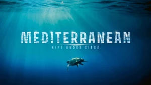 Mediterranean: Life Under Siege on Animal Planet HD Tamil - past program
