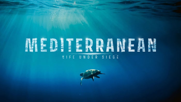 Mediterranean: Life Under Siege Episode No.5 on JioTV