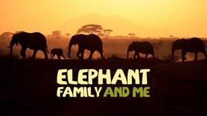 Elephant Family and Me on Sony BBC Earth SD - past program