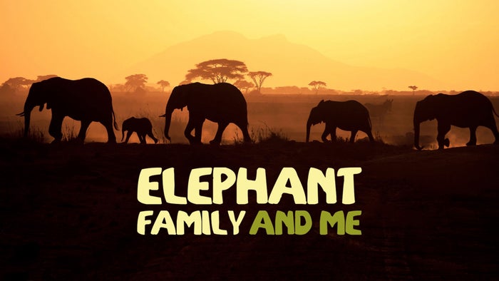 Elephant Family and Me Episode No.2 on JioTV