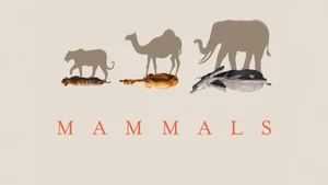 Mammals on Sony BBC Earth SD - past program