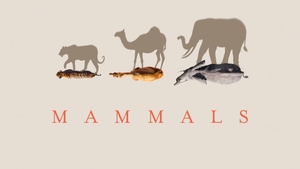 Mammals on Sony BBC Earth SD - past program