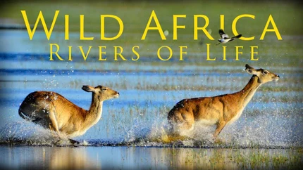 Wild Africa: Rivers Of Life on Animal Planet English