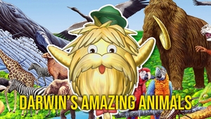 Darwin's Amazing Animals on NHK World Japan - past program