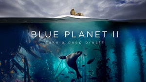 Blue Planet II on Sony BBC Earth SD - past program