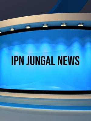 IPN Jungal News on IPN News - past program