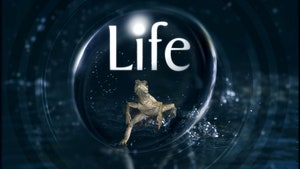 Life on Sony BBC Earth SD - past program