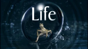 Life on Sony BBC Earth SD - past program