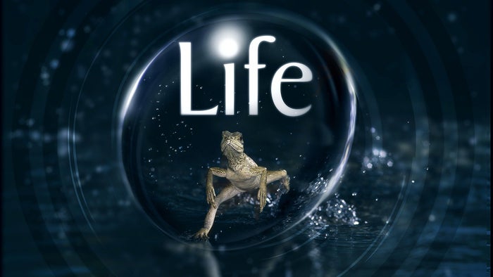 Life Episode No.2 on JioTV