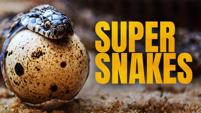 Super Snakes on JioTV
