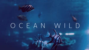 Ocean Wild on Animal Planet Hindi