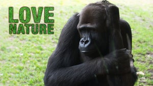 City Zoo on INWILD - past program