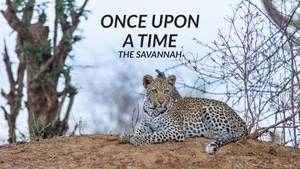 Once Upon A Time: The Savannah on Animal Planet Hindi - past program