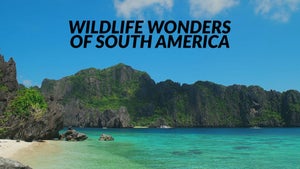 Wildlife Wonders of South America on Stingray Naturescape - past program
