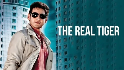 The Real Tiger on B4U Kadak - past program