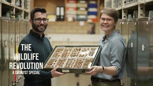 The Wildlife Revolution - A Catalyst Special on ABC Australia - live program