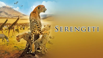 Serengeti on Animal Planet HD World
