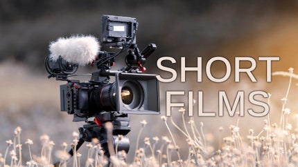 Short Films on Peace of Mind