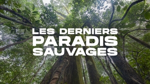 Eden: Untamed Planet on Sony BBC Earth SD - past program
