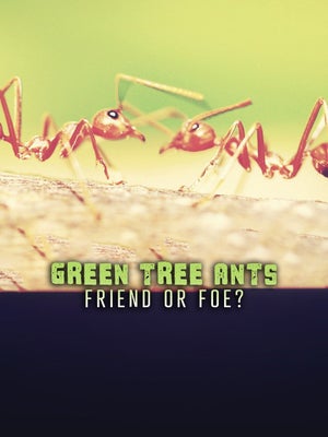 Green Tree Ants: Friend or Foe? on INWILD - past program