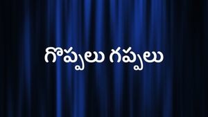 Goppalu Gappalu on Raj News Telugu - past program
