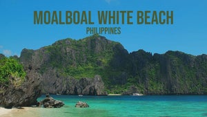 Moalboal White Beach: Philippines on Stingray Naturescape - past program