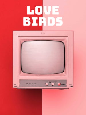 Love Birds on Public Music - past program