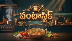 Vantastic on Sun Gemini HD - live program