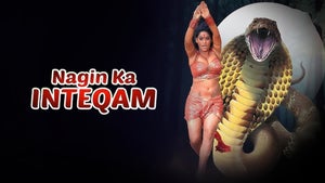 Nagin Ka Inteqam on Zee Cinema - past program