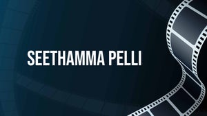 Seethamma Pelli on ETV Cinema - past program