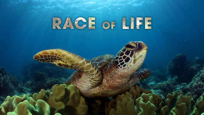 Race of Life Episode No.1 on JioTV