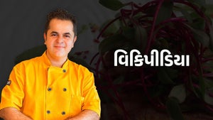 Vickipedia Episode 31 on Zee Zest HD - past program