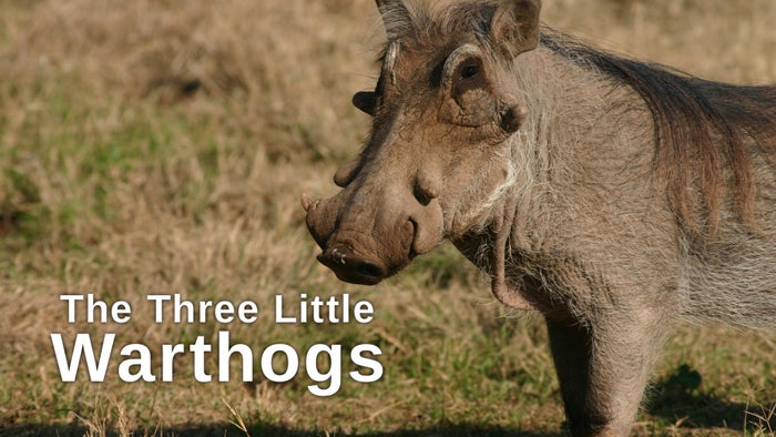 The Three Little Warthogs on JioTV