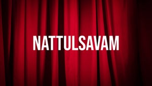 Nattulsavam Episode 4 on Flower TV - future program