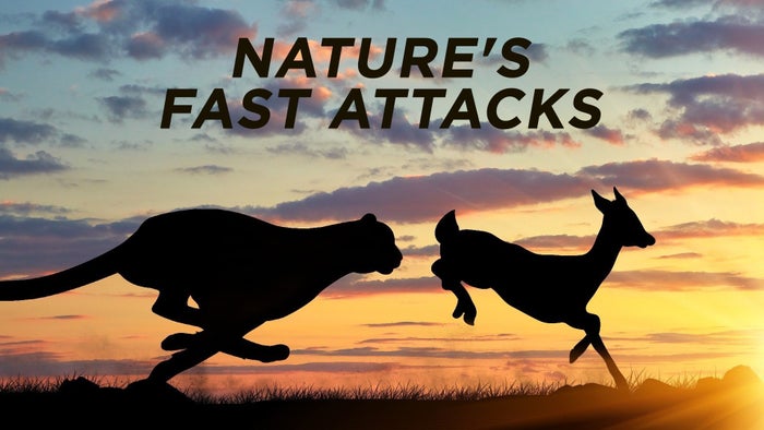 Nature's Fast Attacks Episode No.2 on JioTV