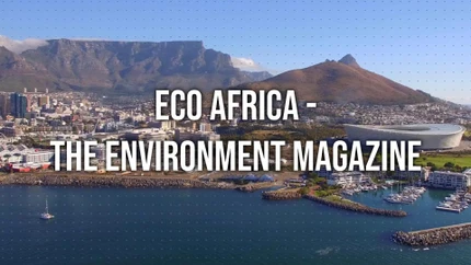 Eco Africa - The Environment Magazine on dw
