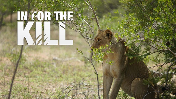 In for the Kill Episode No.4 on JioTV